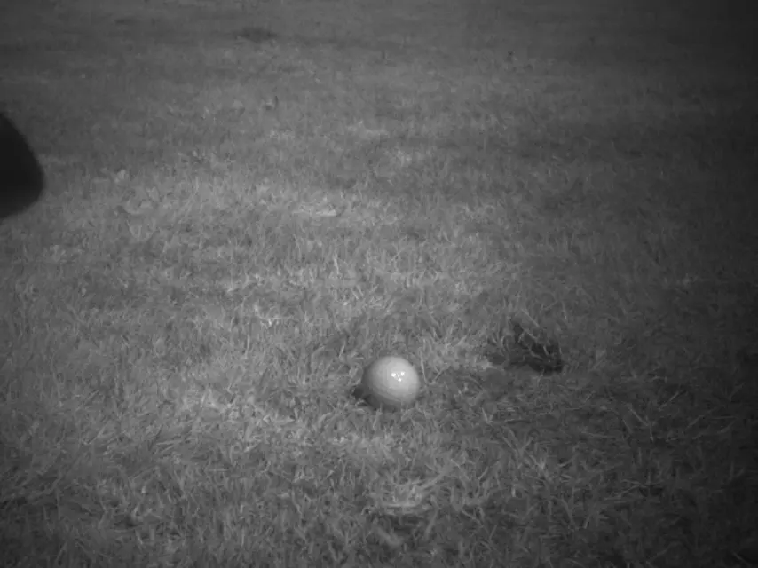 Golf impact view